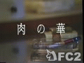 アダルト動画：加賀恵子 肉の華01